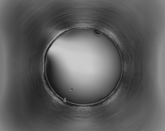 X0000088170844200705221620