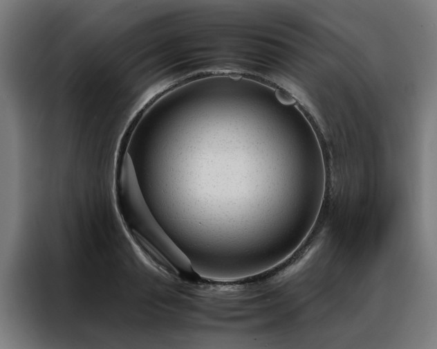 X0000088170845200705221620