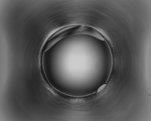 X0000088170846200705221620