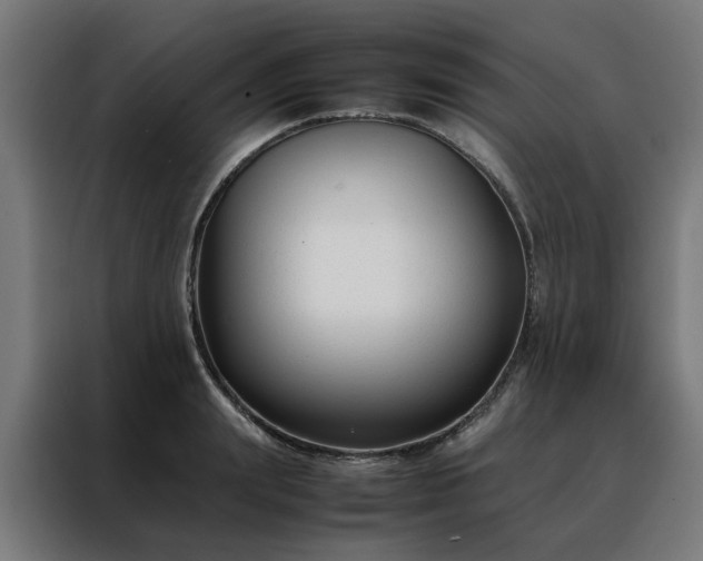 X0000088170847200705221620