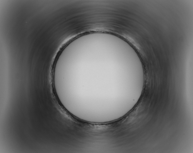 X0000088170848200705221620