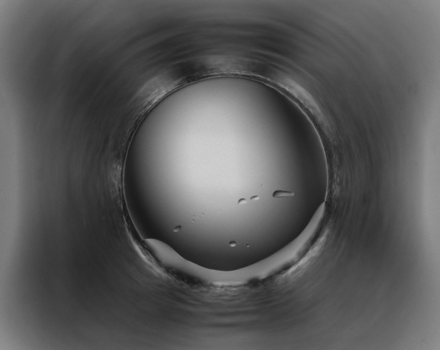 X0000088170849200705221620