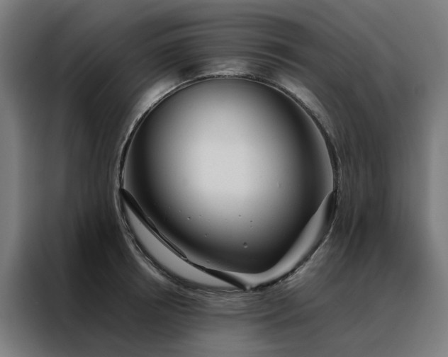 X0000088170850200705221620