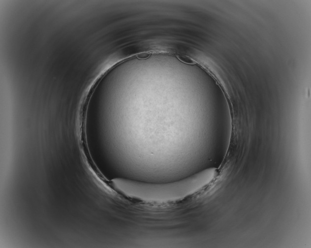 X0000088170851200705221620