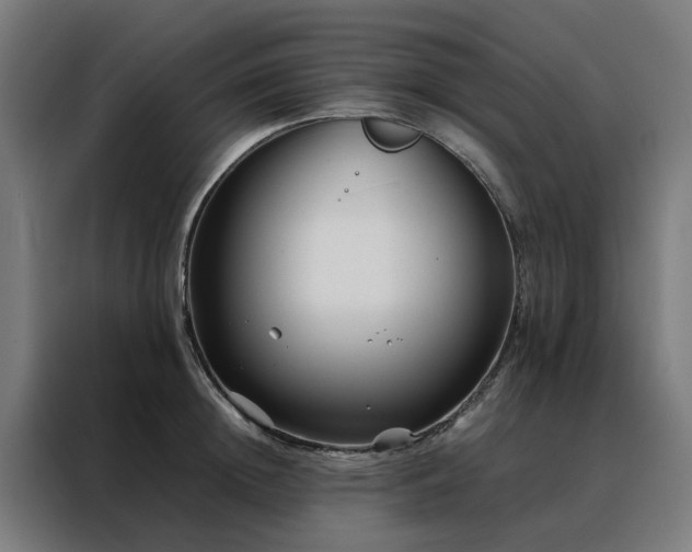 X0000088170852200705221620