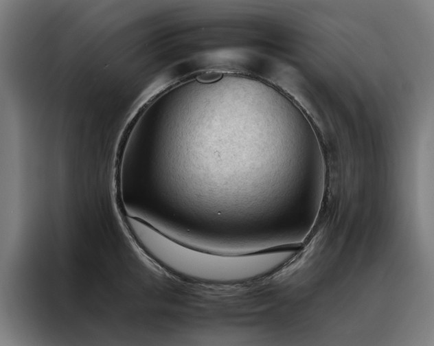 X0000088170853200705221620