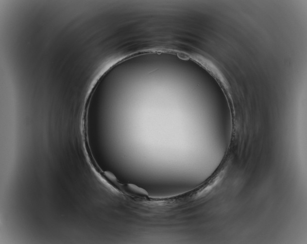 X0000088170855200705221620