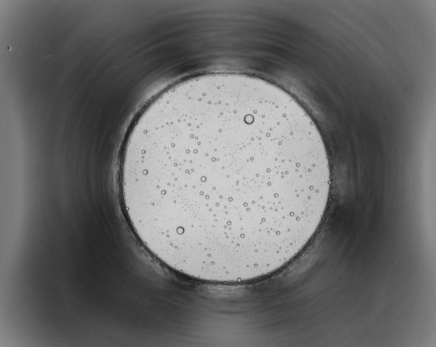 X0000088170856200705221620