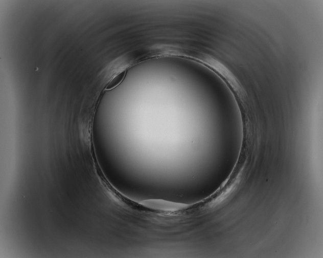 X0000088170857200705221620