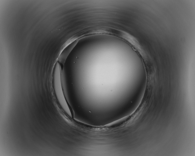 X0000088170858200705221620