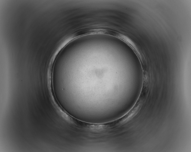 X0000088170859200705221620