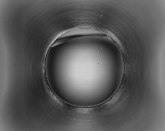 X0000088170860200705221620