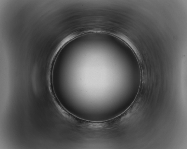 X0000088170861200705221620