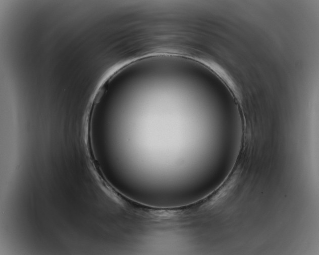 X0000088170862200705221620