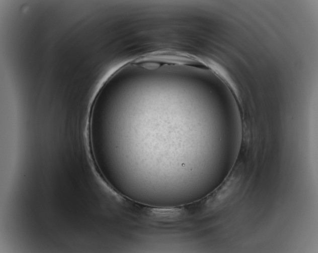 X0000088170863200705221620