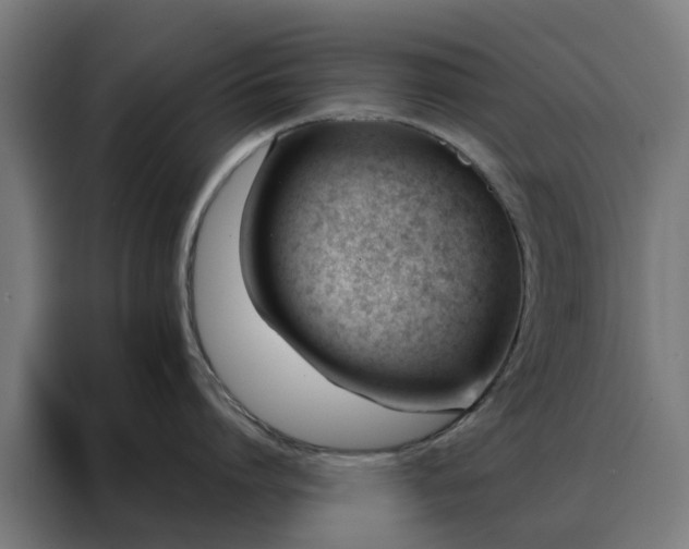 X0000088170864200705221620