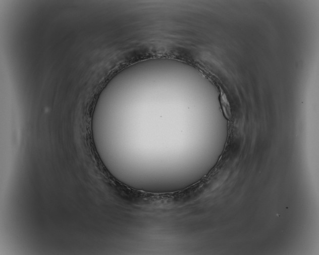 X0000088170865200705221620