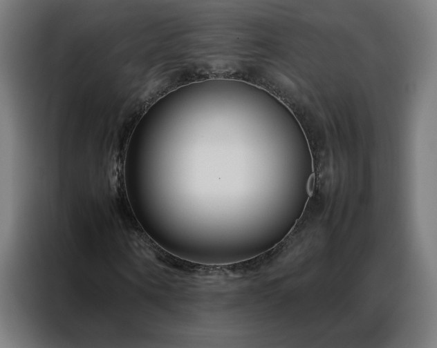 X0000088170866200705221620