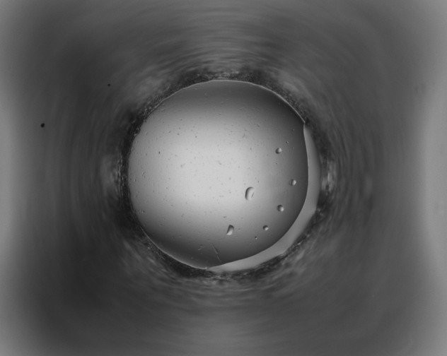 X0000088170867200705221620