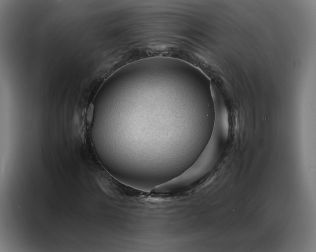 X0000088170868200705221620