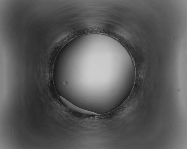 X0000088170869200705221620