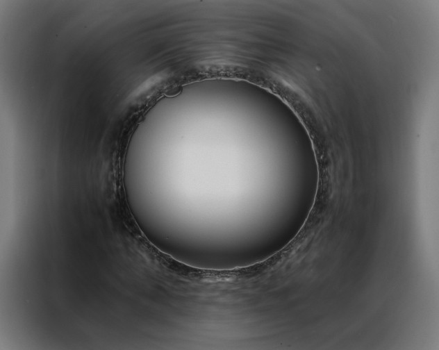 X0000088170870200705221620