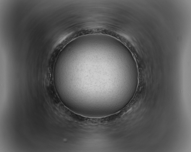 X0000088170871200705221620