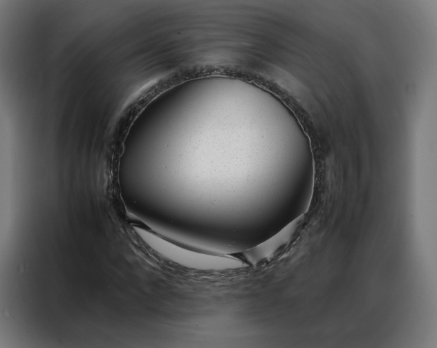 X0000088170872200705221620