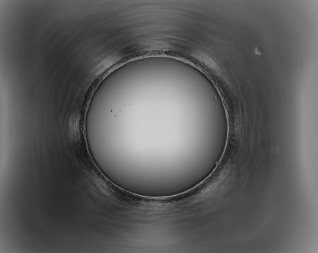 X0000088170873200705221619