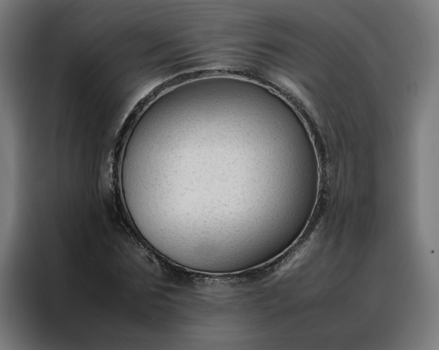 X0000088170875200705221619