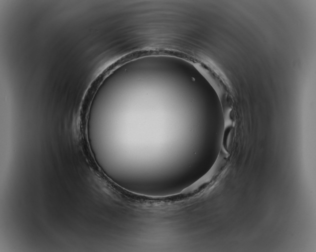 X0000088170876200705221619