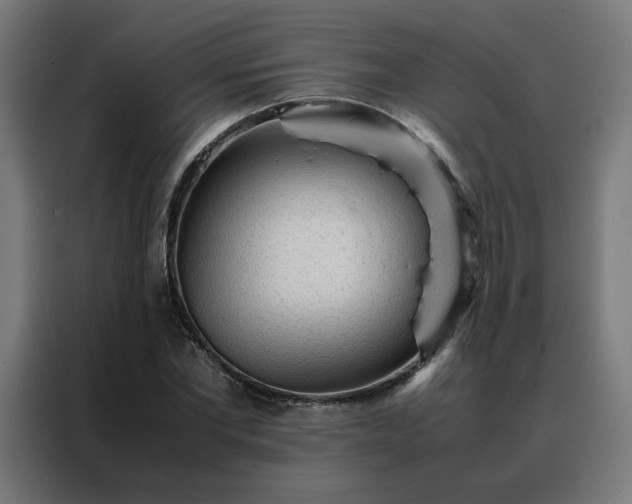 X0000088170877200705221619