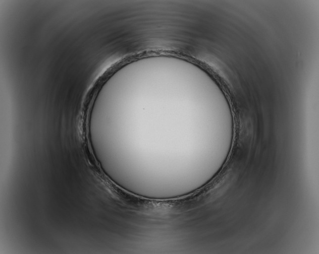 X0000088170878200705221619