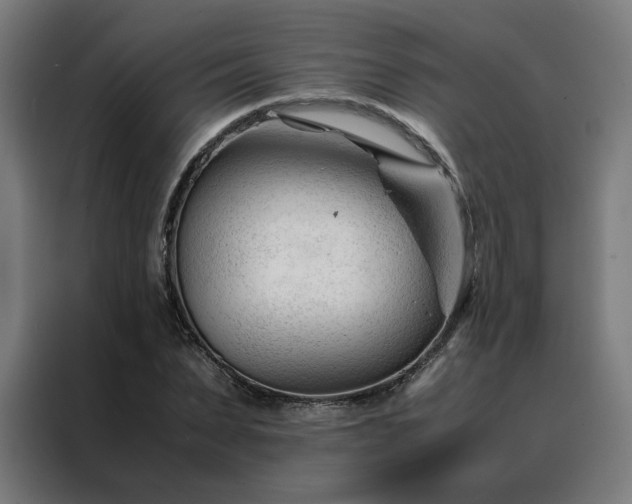 X0000088170879200705221619