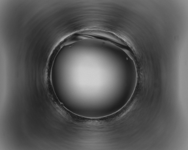 X0000088170880200705221619