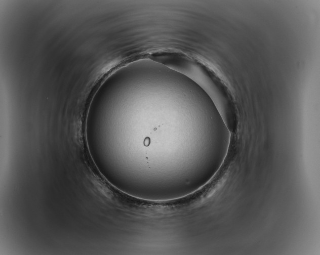 X0000088170881200705221619