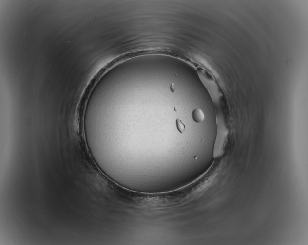 X0000088170883200705221619