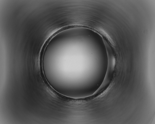 X0000088170884200705221619