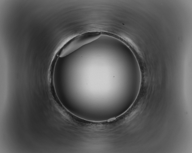 X0000088170885200705221619