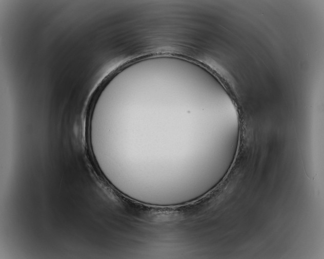 X0000088170886200705221619