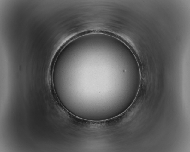 X0000088170887200705221619