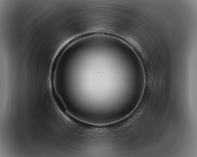 X0000088170888200705221619