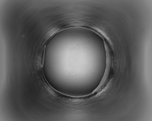 X0000088170889200705221619