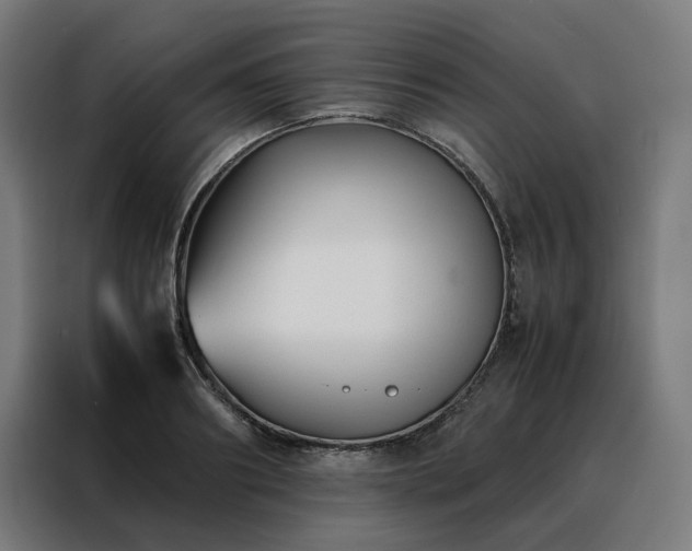 X0000088170890200705221619