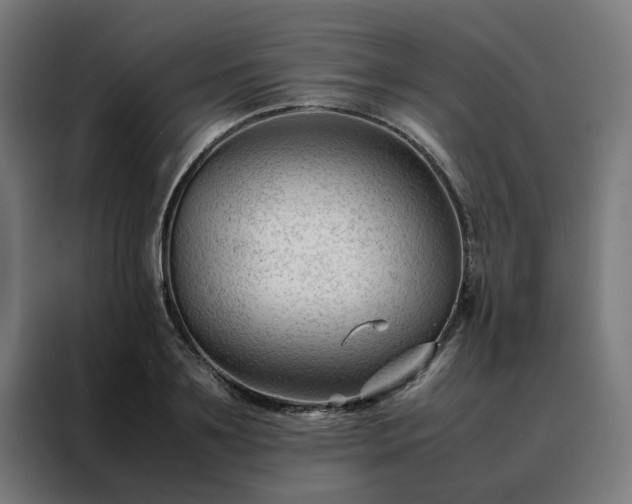 X0000088170891200705221619