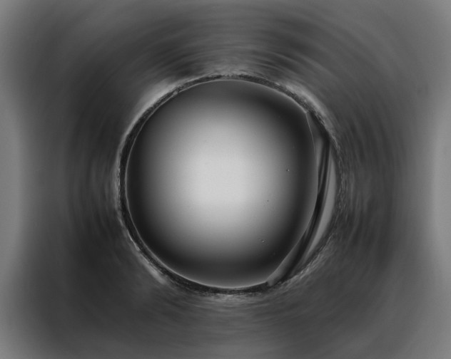 X0000088170894200705221619