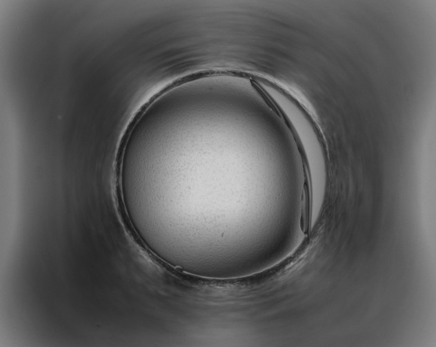 X0000088170895200705221619