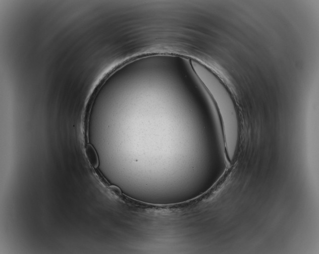 X0000088170896200705221619