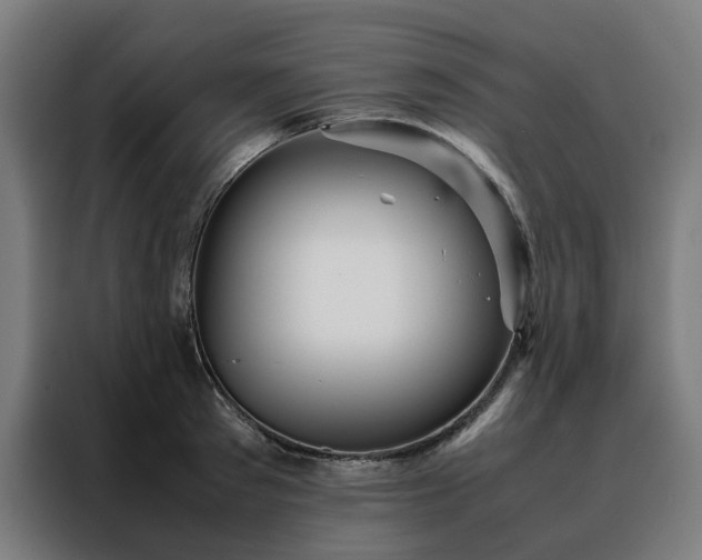 X0000088170897200705221619