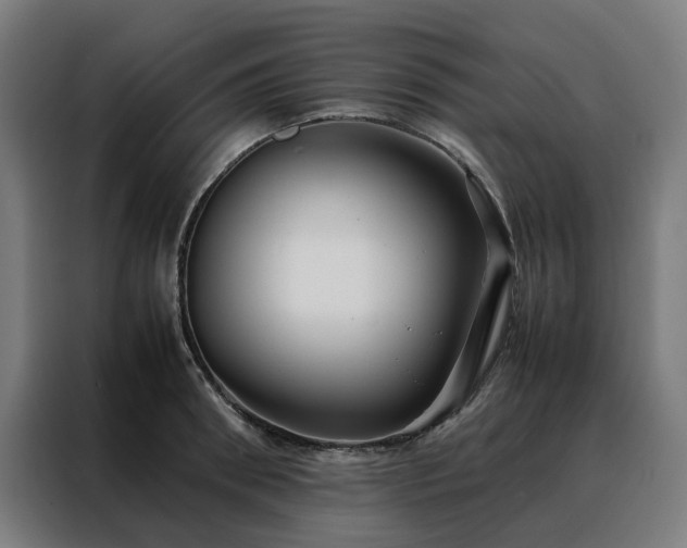 X0000088170898200705221619